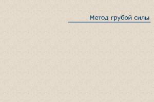 Метод грубой силы в программировании